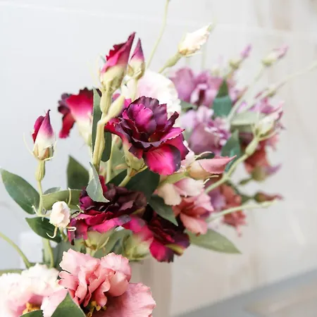 Appartamento Centrale Scalea