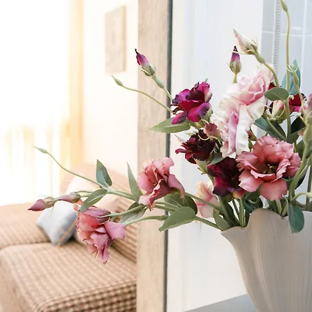 Appartamento Centrale Scalea